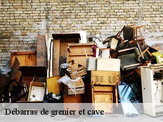 Débarras de grenier et cave  37800