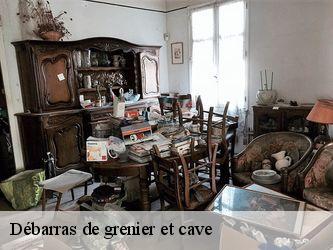 Débarras de grenier et cave  37800